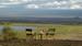 Nyd den fantastiske udsigt fra Serena Lodge Amboseli