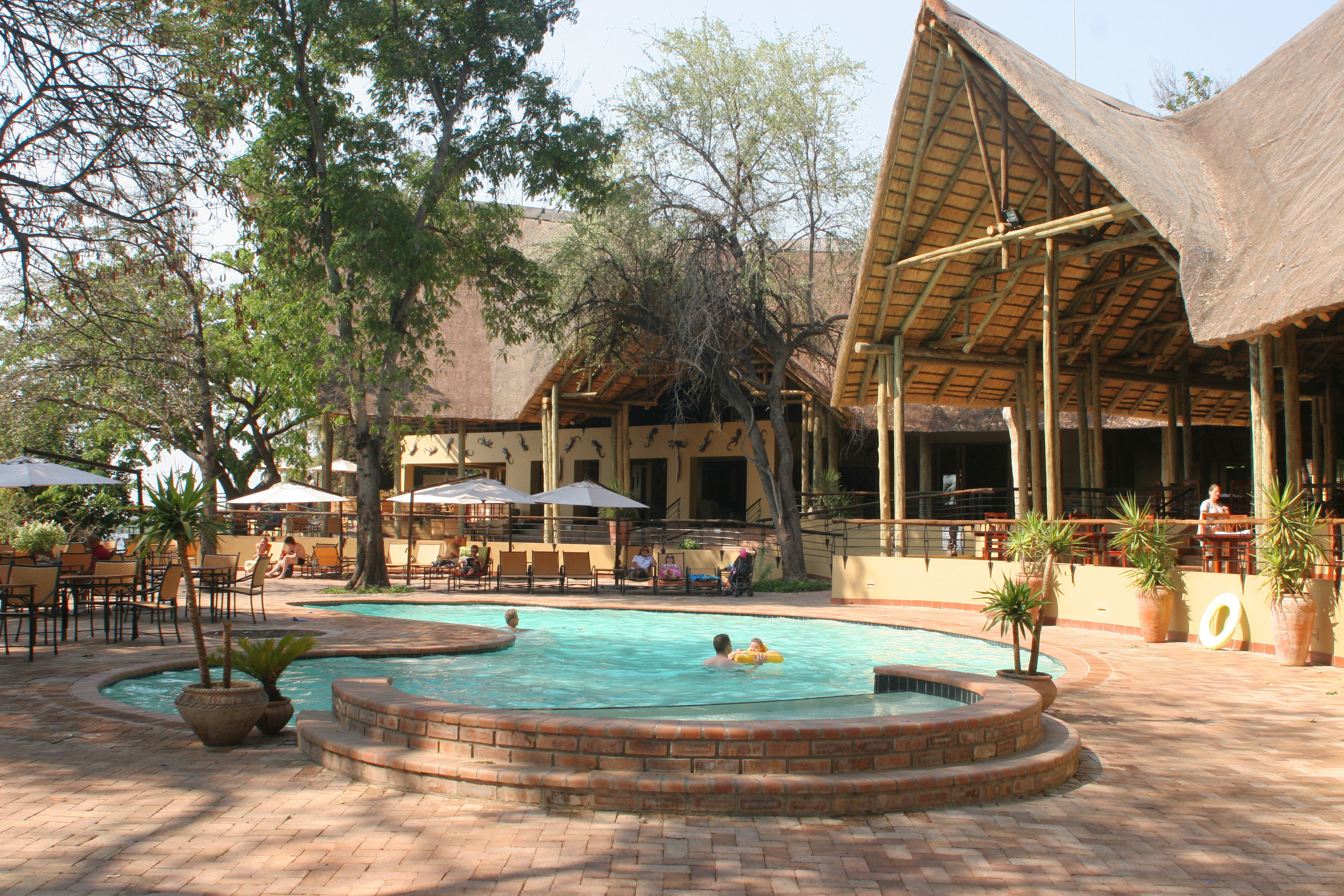 Tag en dukkert i poolen på Chobe Safari Lodge