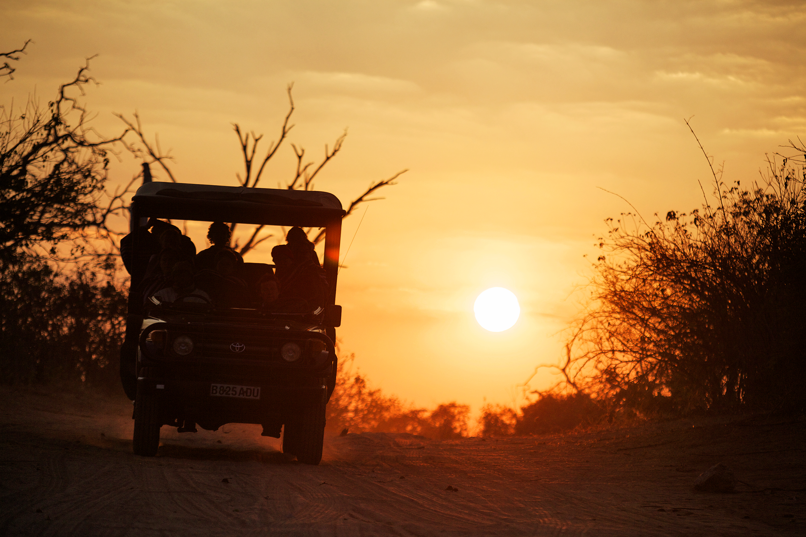 Safarikørsel tæt på Chobe Safari Lodge