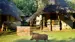 Dyrelivet kommer tæt på på Chobe Safari Lodge