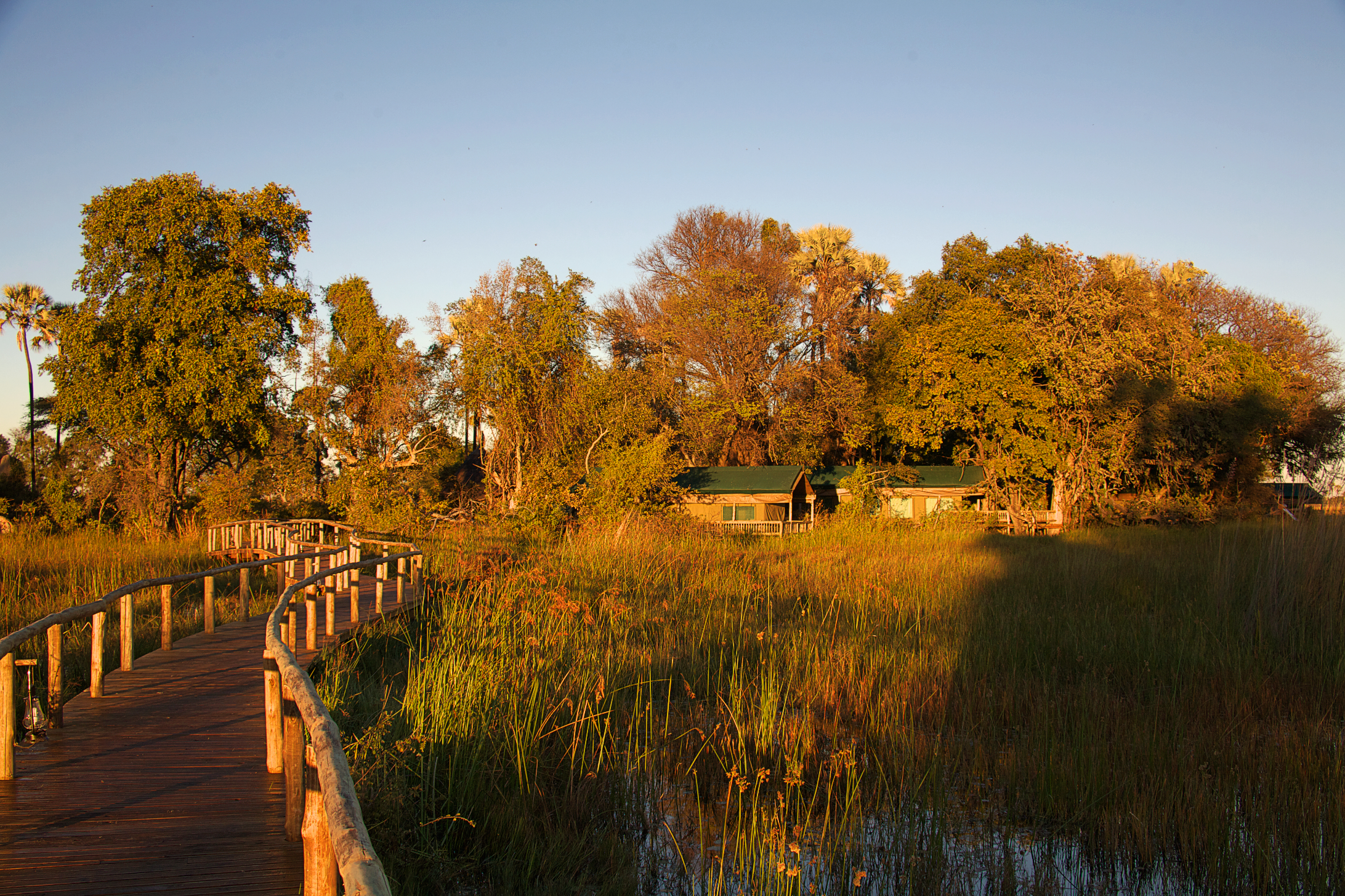 Gunn's Camp på afstand