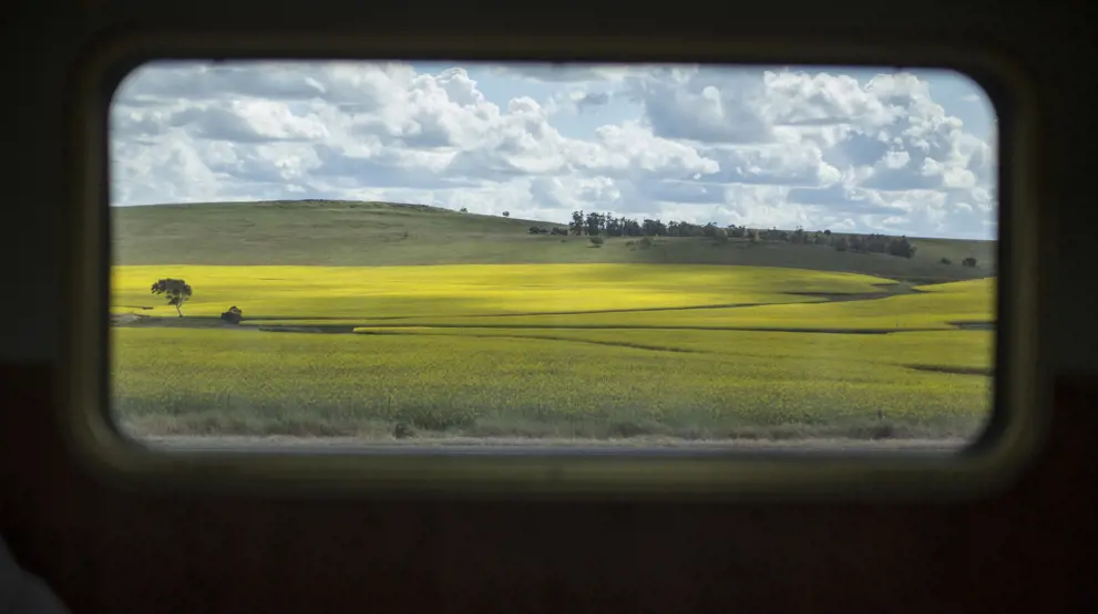 Se frem til naturskønne omgivelser udenfor togvinduet. Foto: Great Southern Railroad