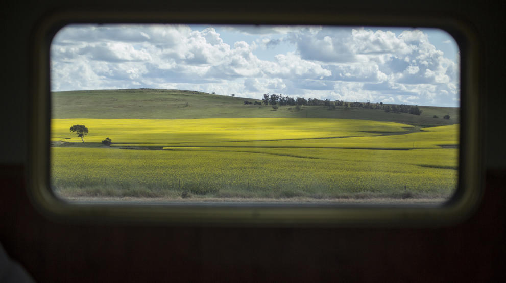 Se frem til naturskønne omgivelser udenfor togvinduet. Foto: Great Southern Railroad