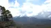 Spicers Canopy i Queensland | Mageløs natur ved Scenic Rim Trail