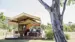 Spicers Canopy i Queensland | Overnatning i luksustelte Spicers Canopy i Queensland | Overnatning i luksustelte