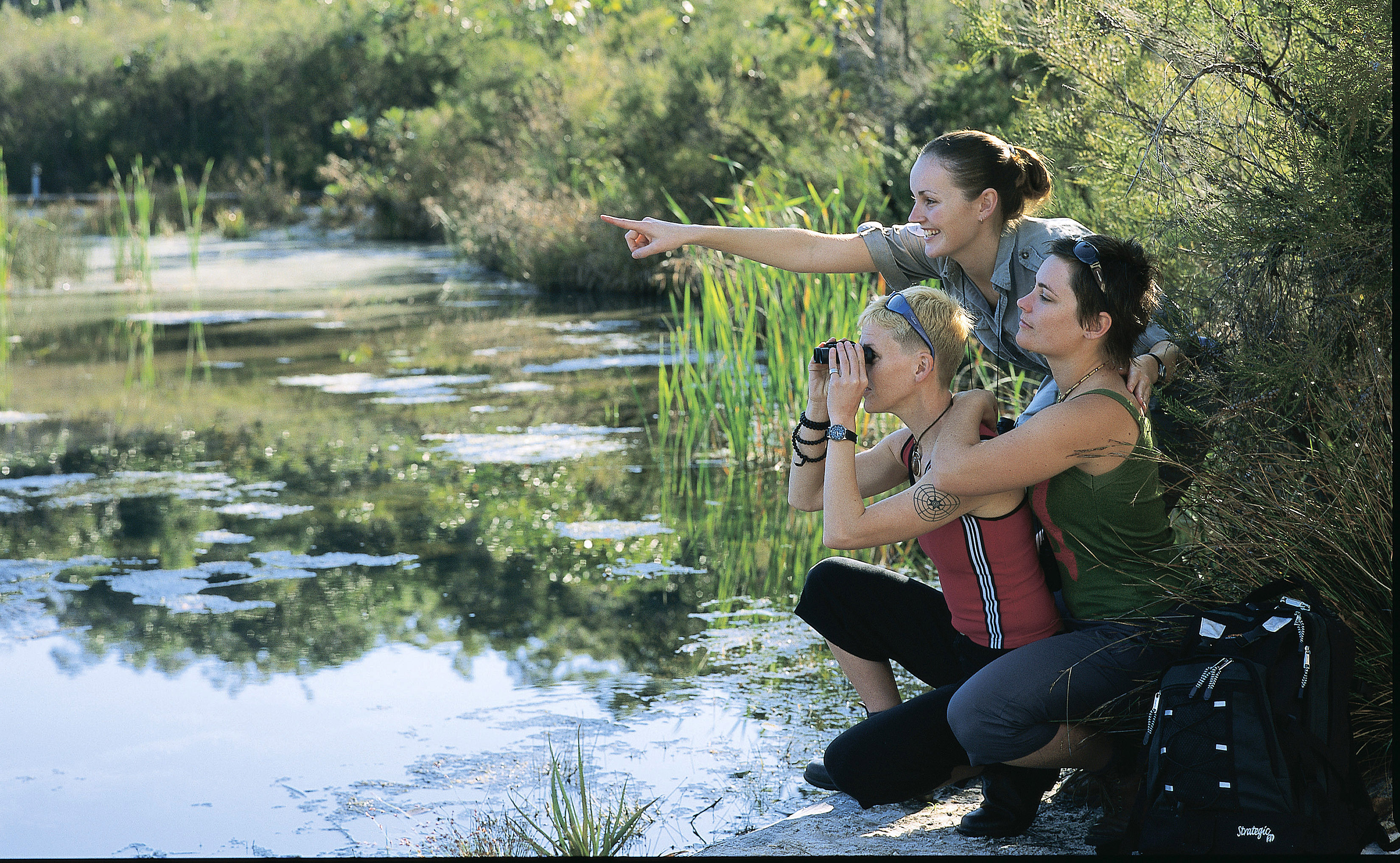Kingfisher Bay Resort på Fraser Island | Foto: Tourism & Events Queensland