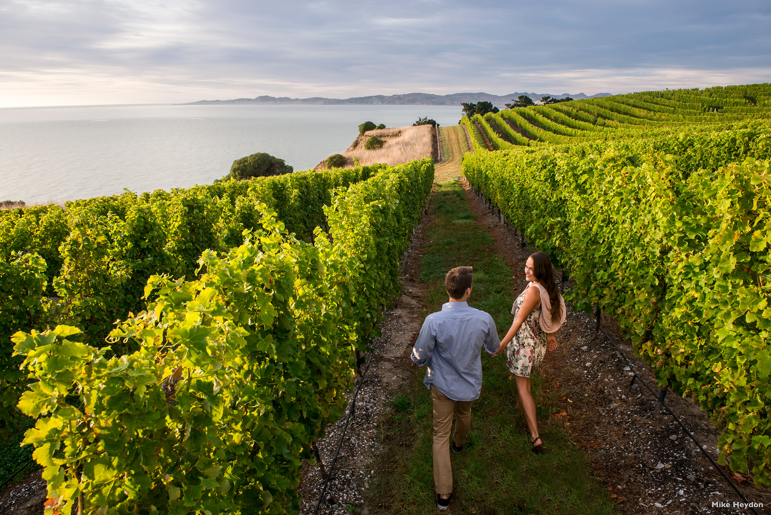 Fantastiske udflugter venter, som vinsmagning i Marlborough | Foto: Mike Heydon