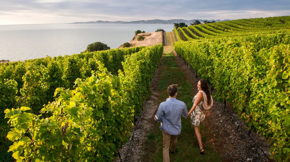 Fantastiske udflugter venter, som vinsmagning i Marlborough | Foto: Mike Heydon