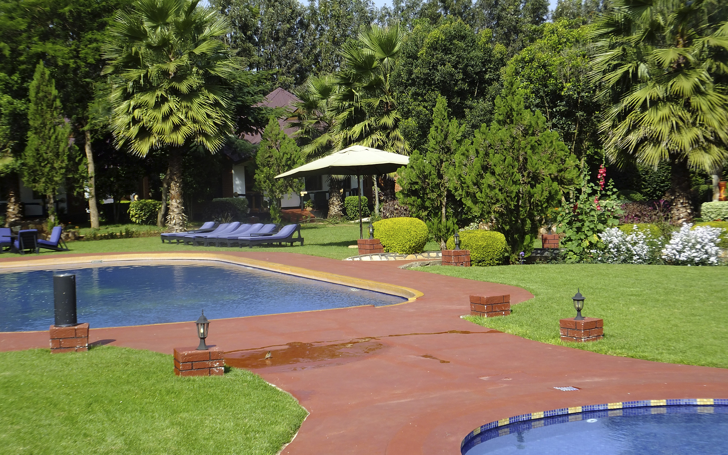 Nyd området ved poolen - Bougainvillea Safari Lodge