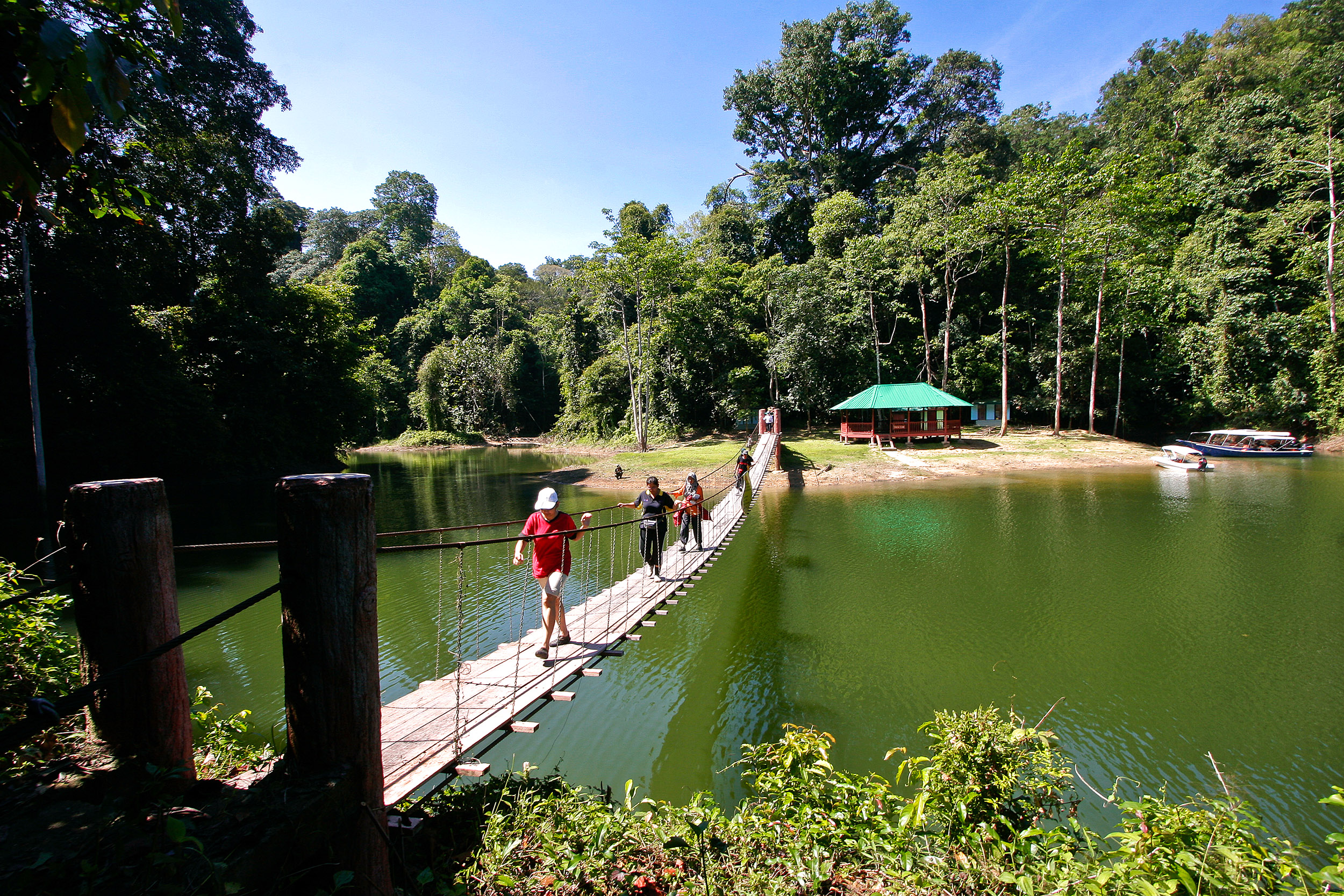Taman Negara National Park
