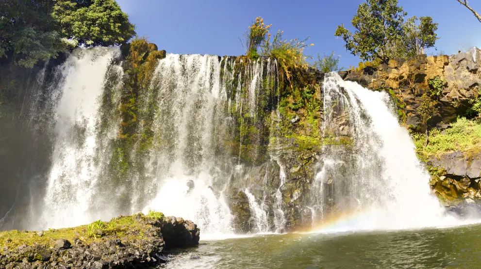 Lily Waterfall Of Ampefy