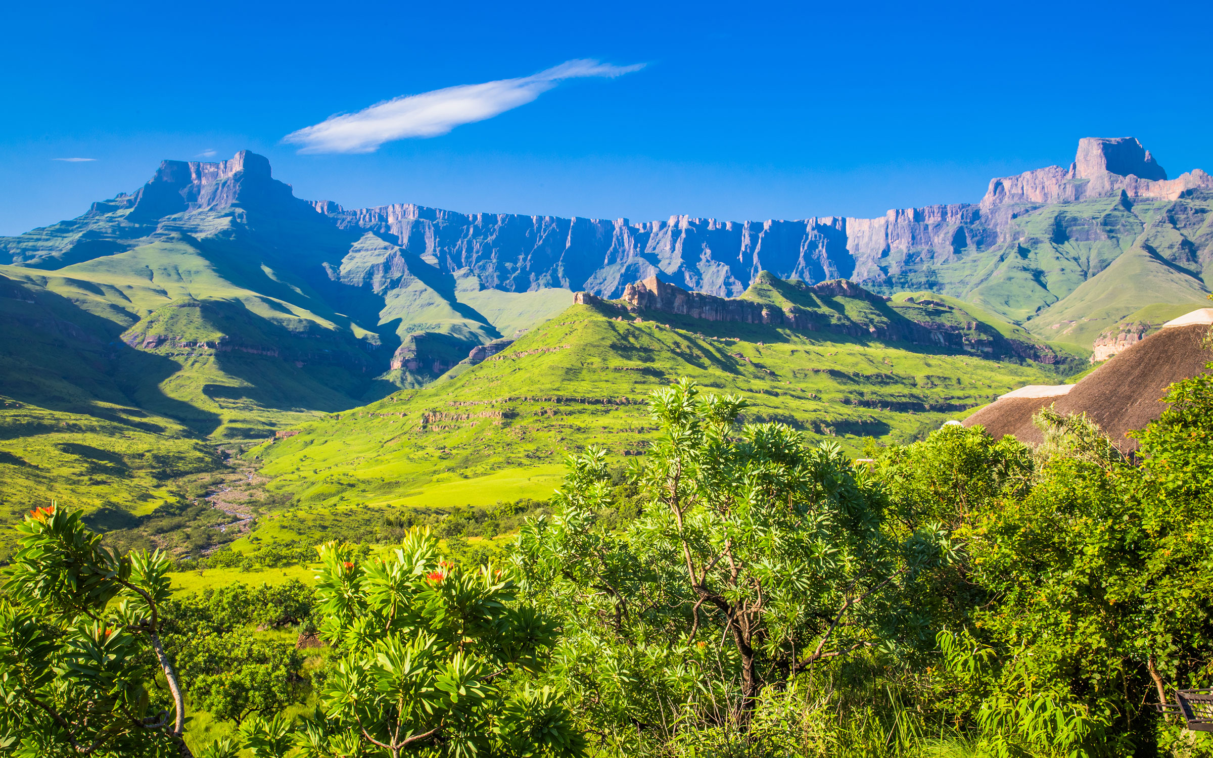 De bjergtagende Drakensberg Mountains som scenetæppe i baggrunden.