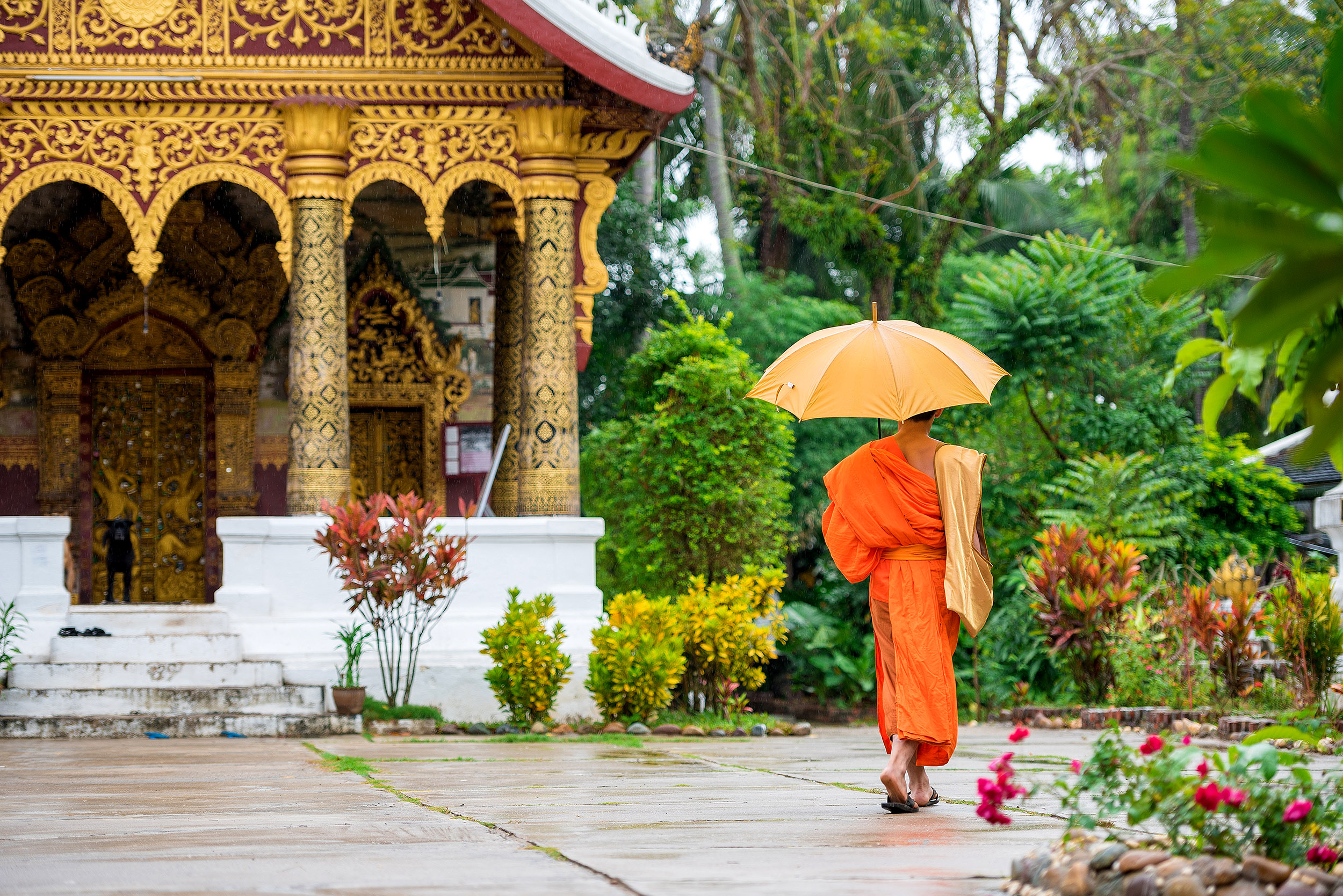 Rejser til Laos | Kongebyen Luang Prabang