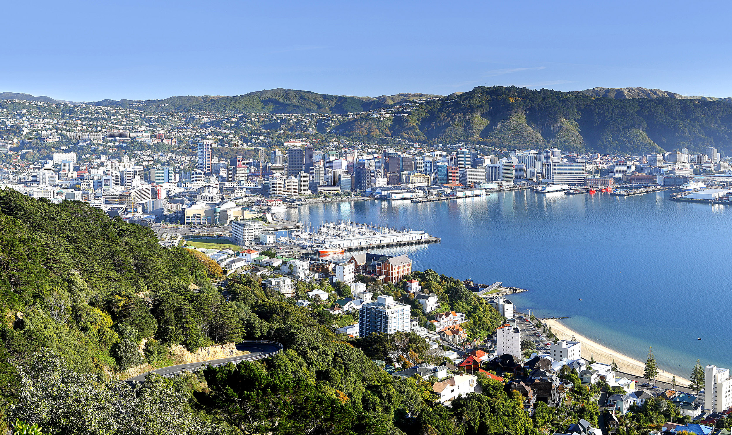 Oplev det bedste af charmerende byer, gyldne kyster og mere på rundrejser i New Zealand.