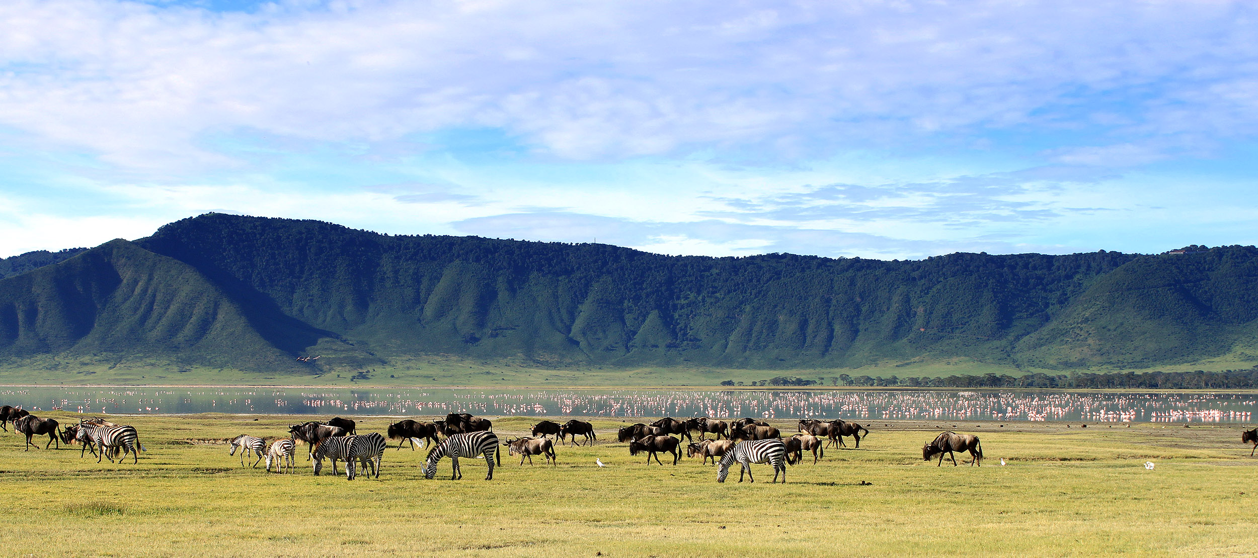 Rejser til Tanzania - rigt dyreliv i Ngorongoro-krateret