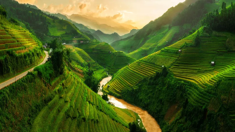 Rejser til Asien byder på ikoniske landskaber og rejsemål, som rismarkerne i Vietnam.