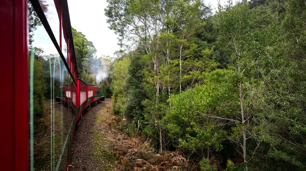 Rejser til Tasmanien byder på storslåede landskaber og smuk natur.