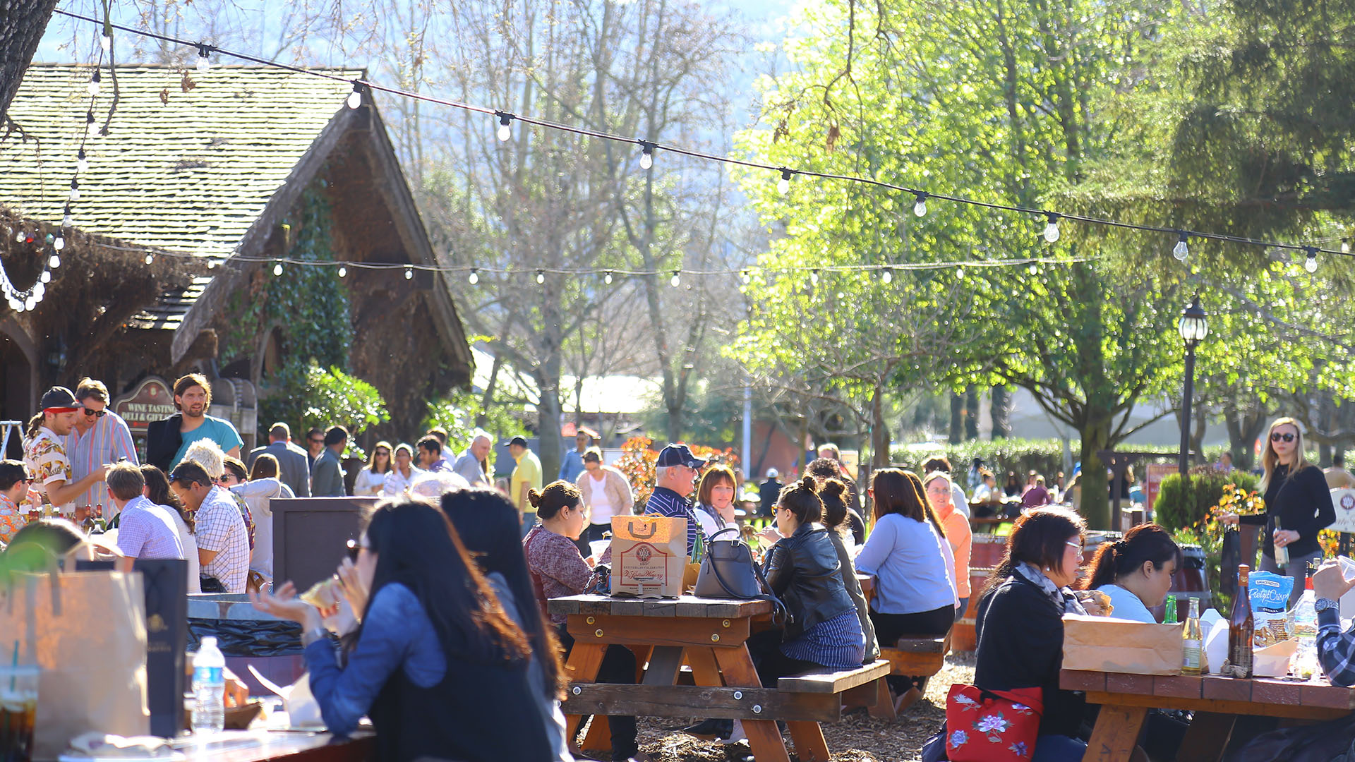 Prøv en vinsmagning i Napa Valley på din rejse til Californien