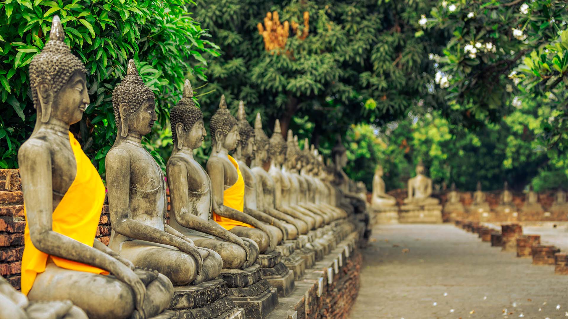 Glæd jer til en spændende cykeltur gennem den arkæologiske Ayutthaya Historical Park