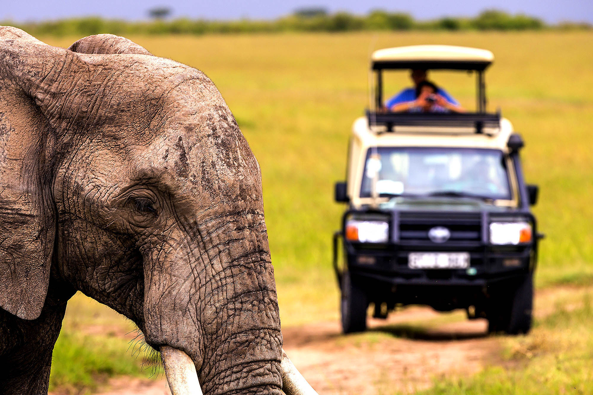 Kom helt tæt på dyrene på et Game Drive i Masai Mara