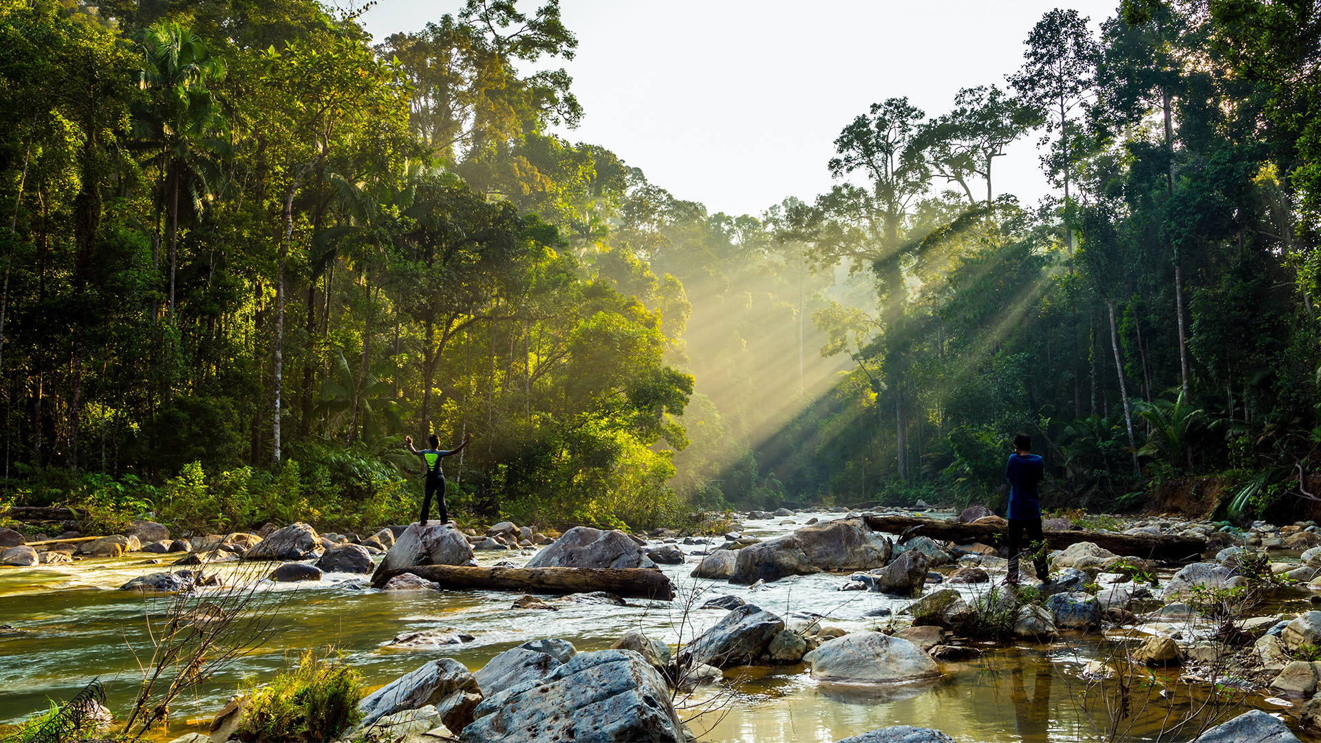 Taman Negara National Park