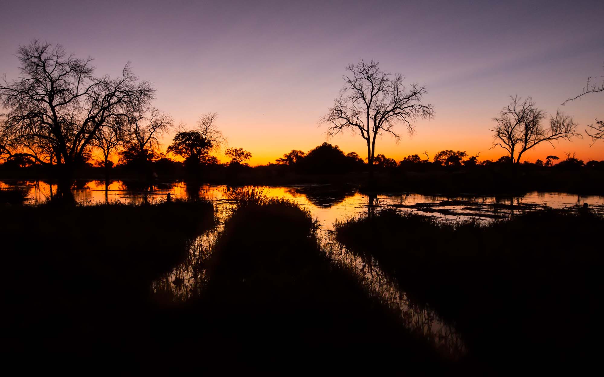 Se den klare nattehimmel og flotte solnedgange på din rejse til Botswana.