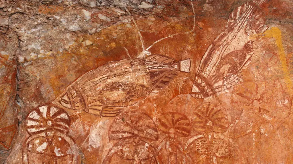 I Kakadu National Park kan du se gamle klippemalerier og kulturarv.
