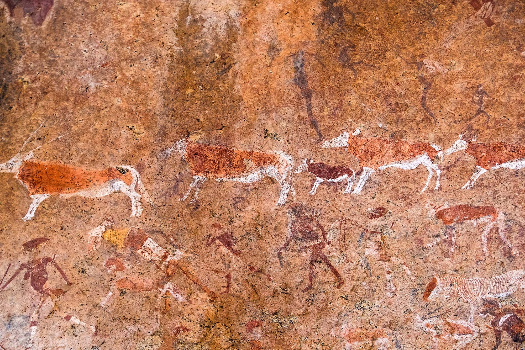 Se utrolige klippemalerier i Twyfelfontein, Namibia på din rejse til Afrika.