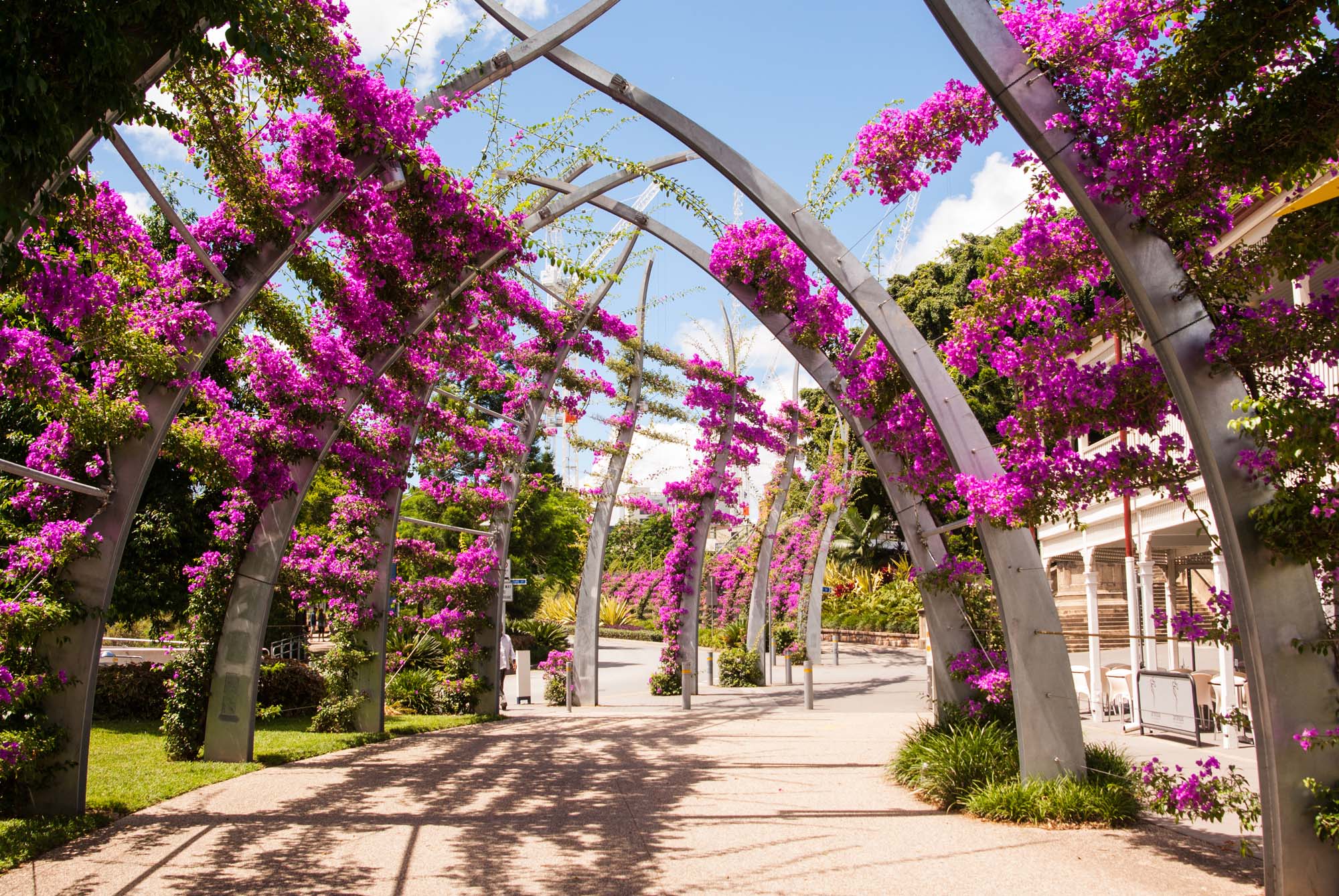 australia-brisbane-southbank-flowers-shutterstock_379090987