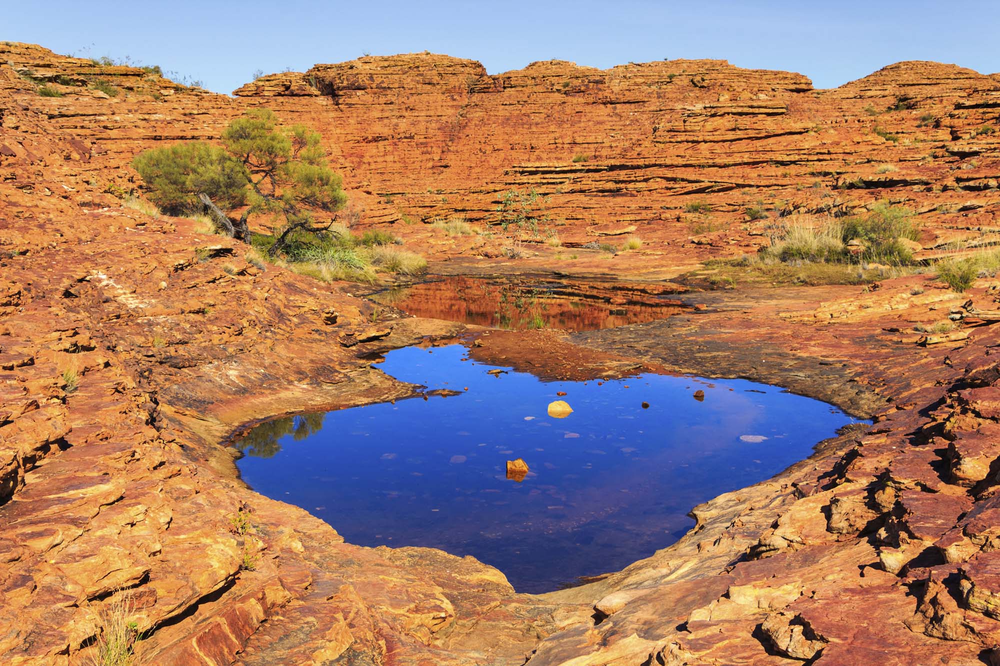 Besøg Kings Canyon - Red Centre