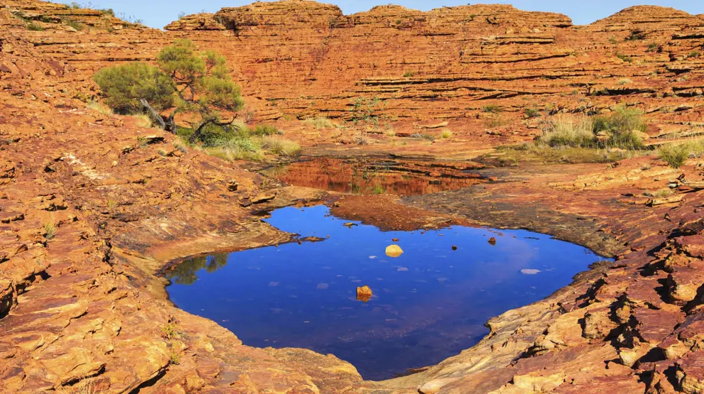 Besøg Kings Canyon - Red Centre