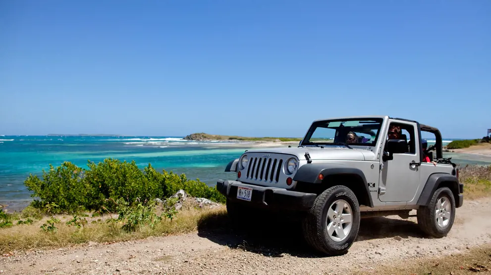 Vi anbefaler at benytte rederiets udflugtsprogram for at få mest muligt ud af dagene på land.