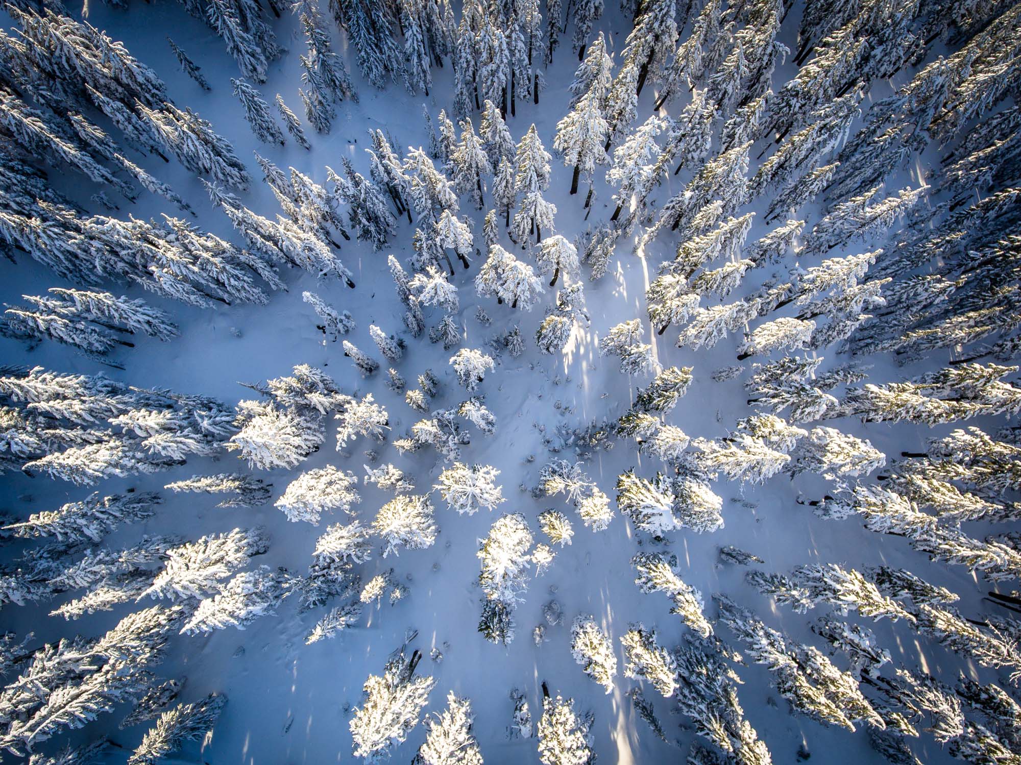 usa-oregon-crater-lake-np-winter-from-above-shutterstock-558238693