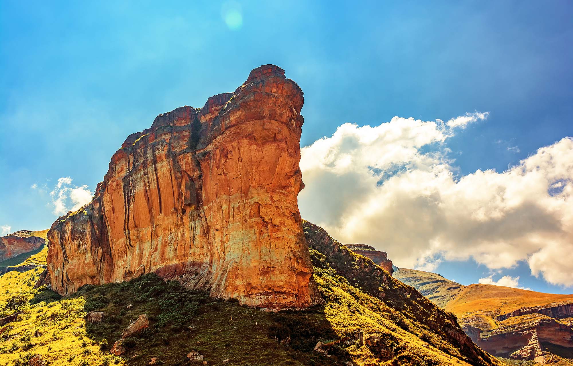 Tag på rundrejse i Sydafrika og oplev dyrelivet