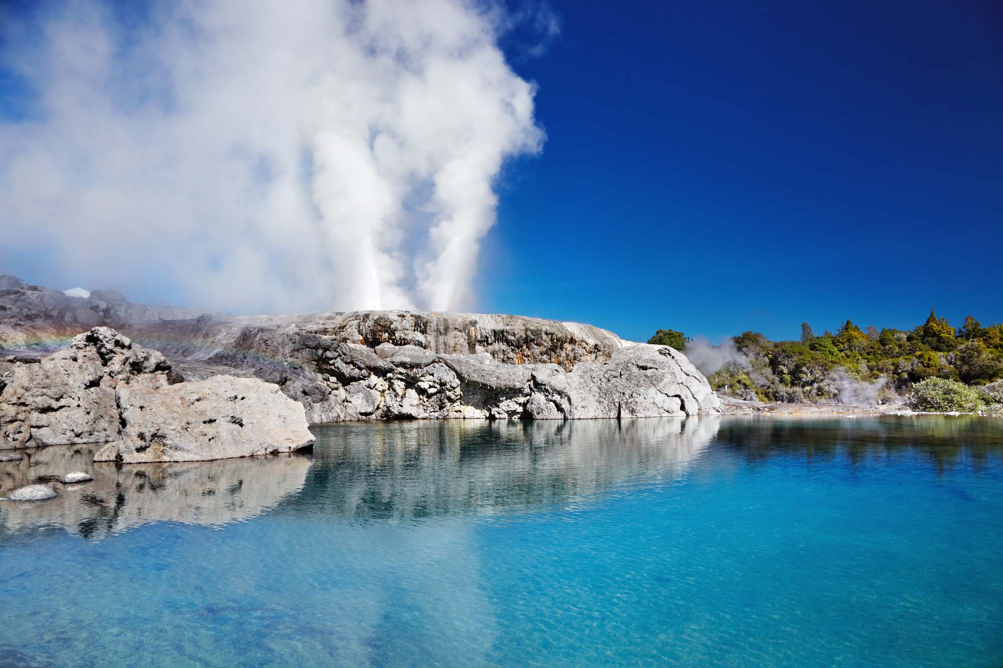 New_Zealand_rotorua_pohuti_geysir