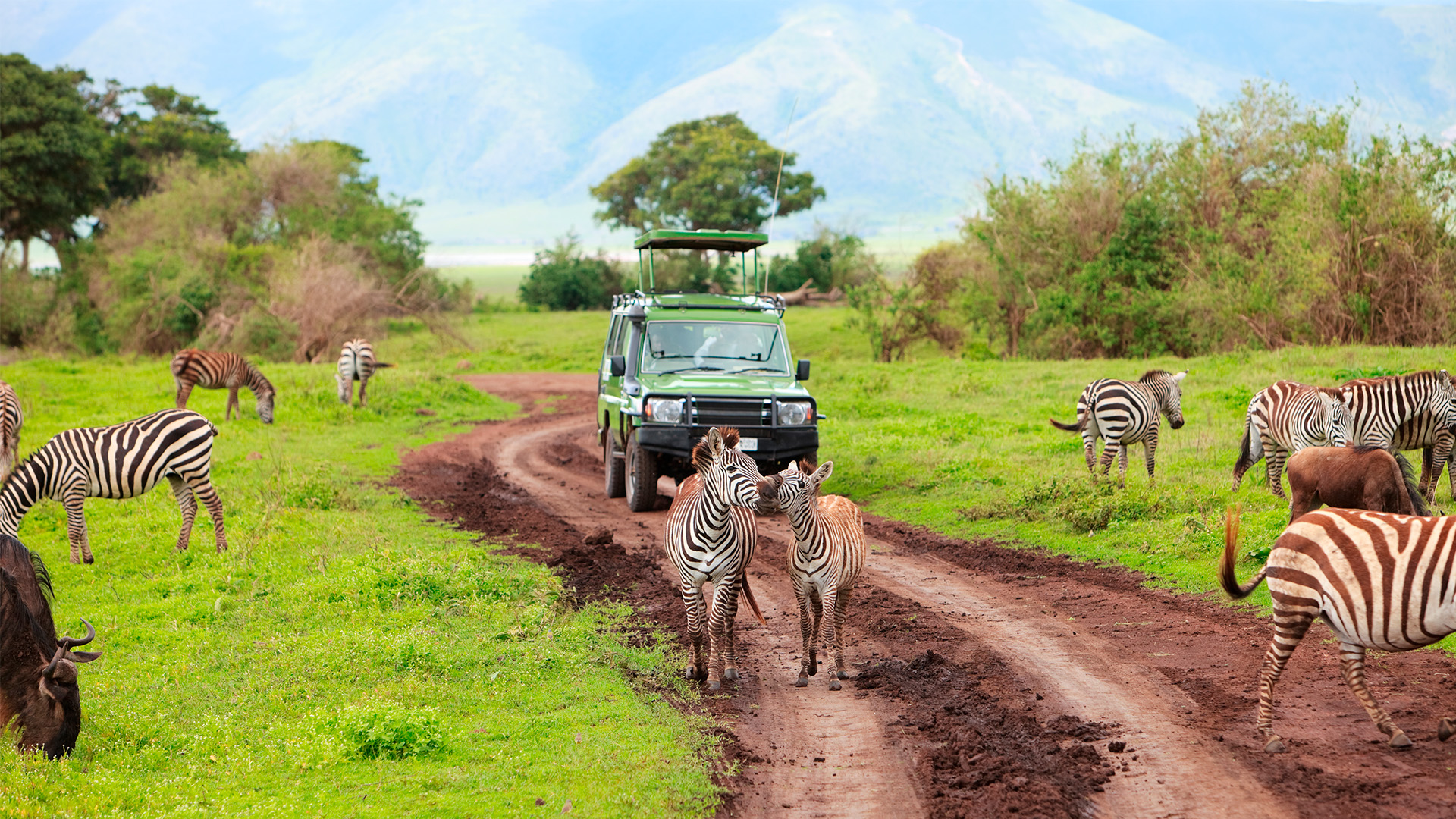 Oplev Ngorongoro-krateret i Tanzania