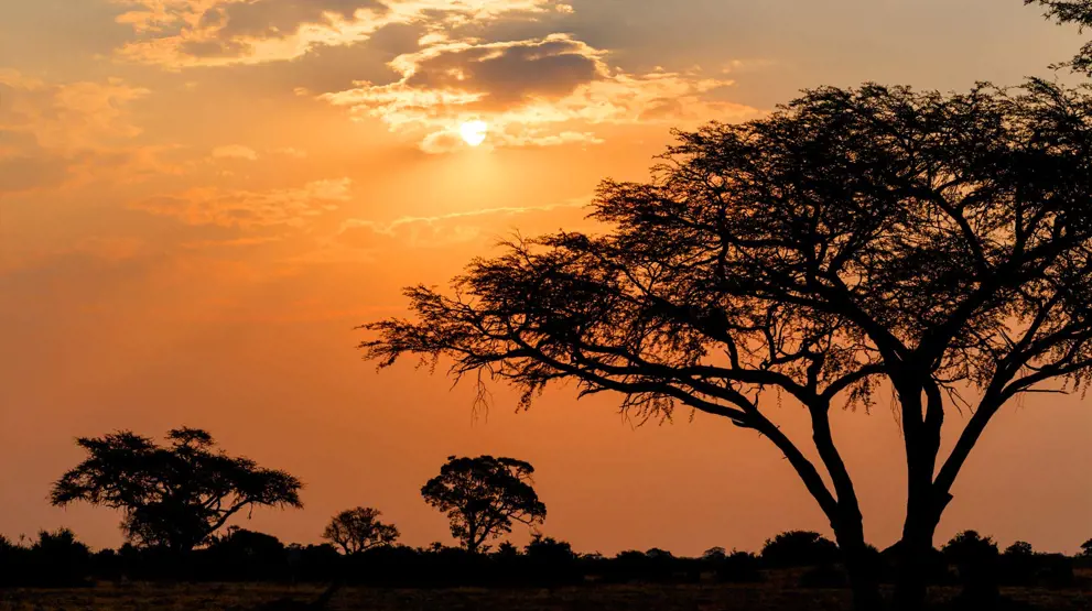 Hwange National Park