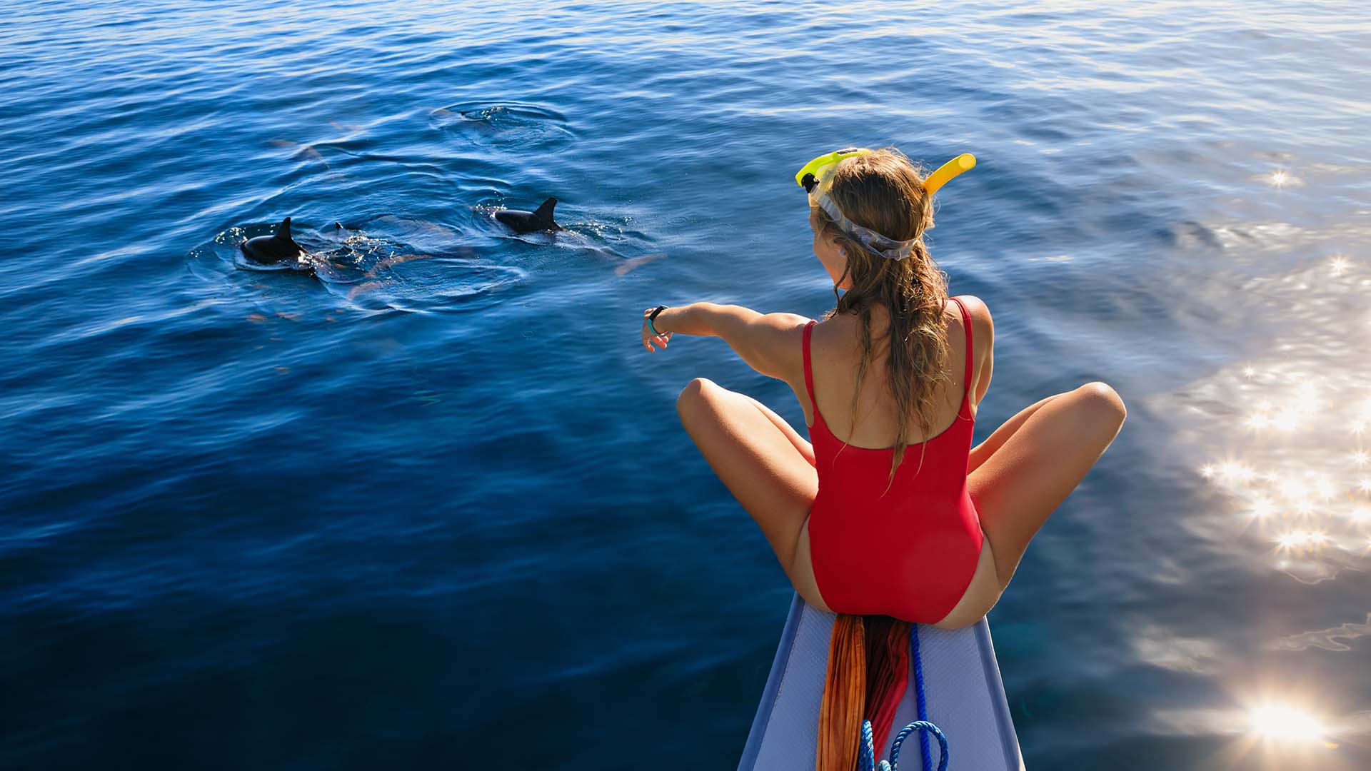 Ud fra Lovina på nordkysten kan du opleve delfiner helt tæt på