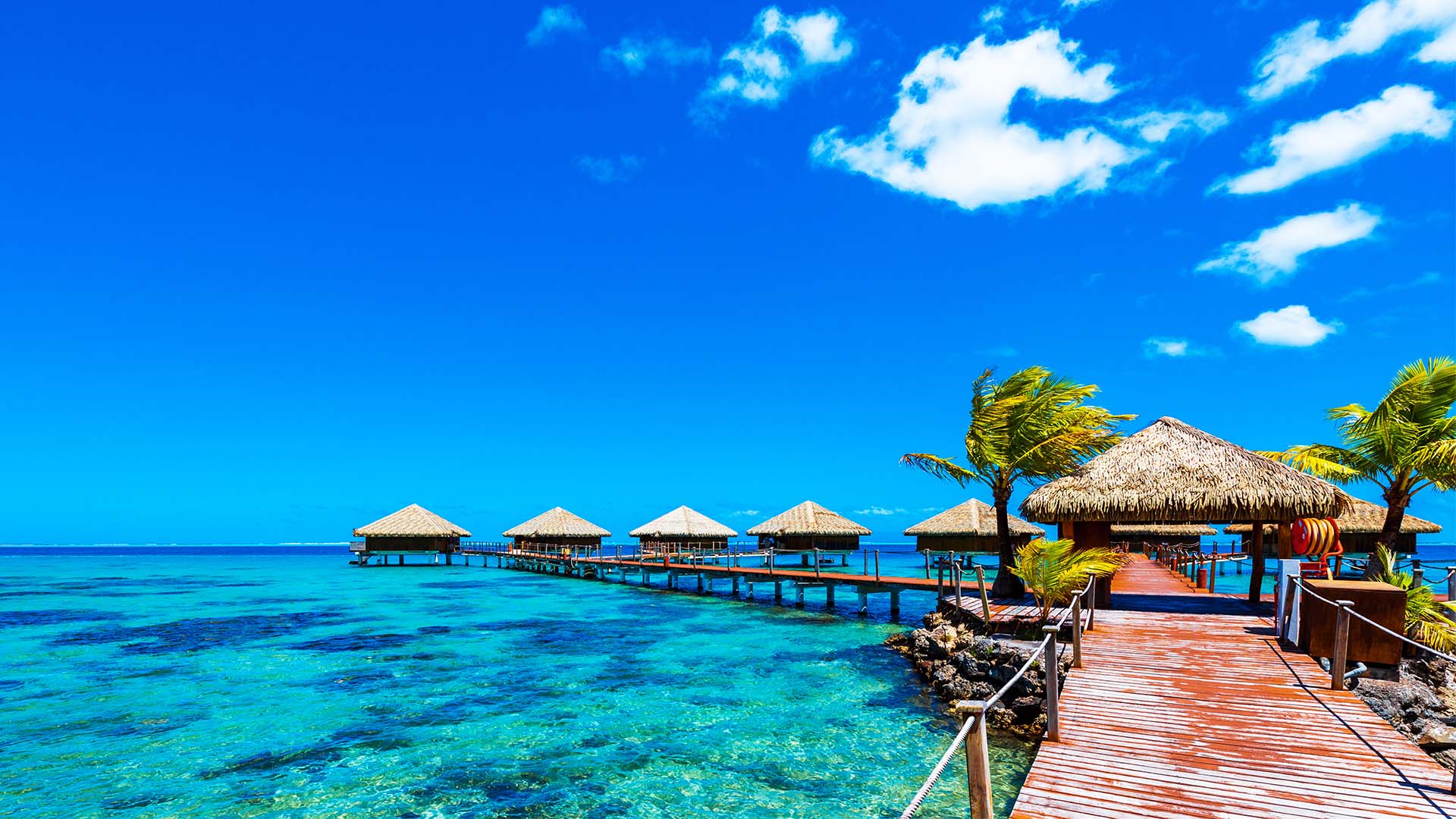 Oplev Fransk Polynesiens fantastiske laguner