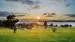 New-Zealand-Bay-of-islands-Waitangi-treaty-grounds-sunrise-iStock-543563380