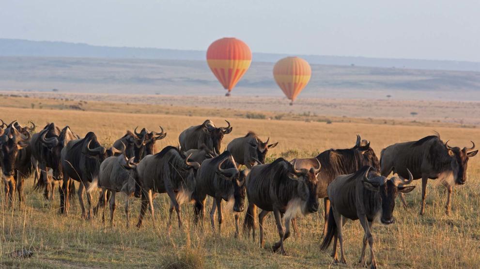 Ballonsafari over savannen i Kenya