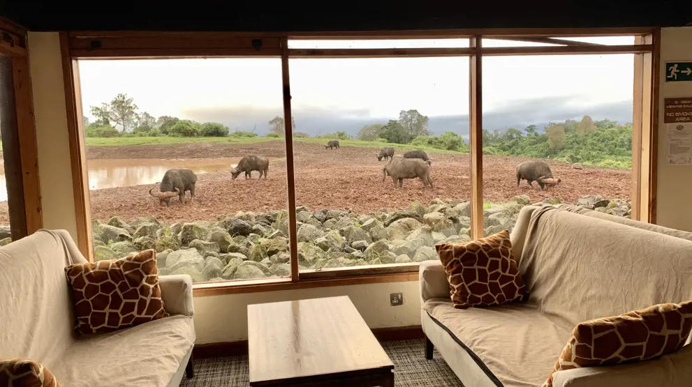 Udsigt fra The Ark Lodge i Aberdare National Park