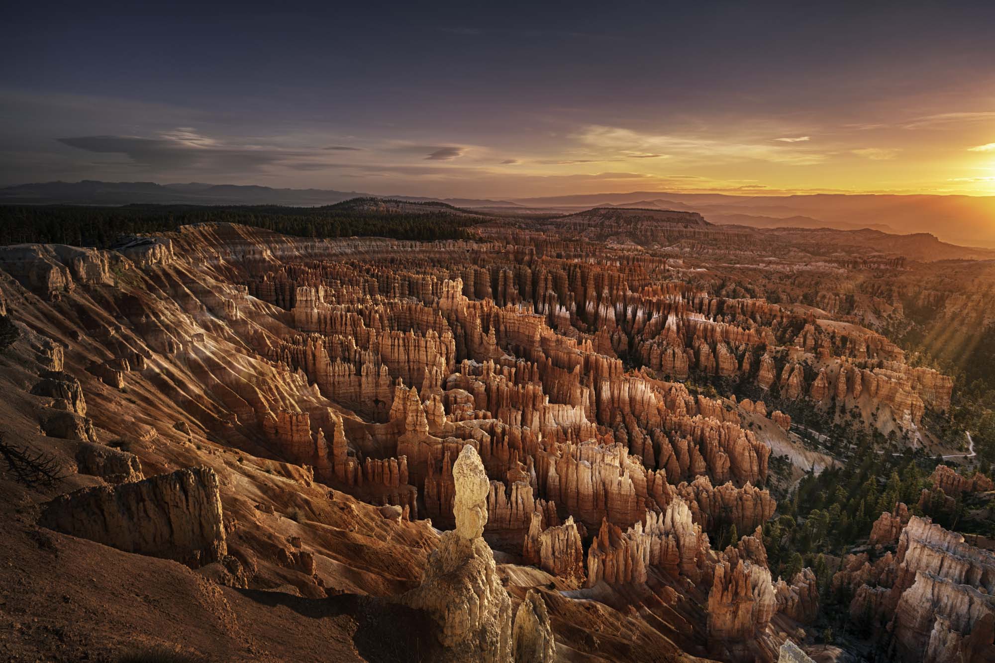 Rejser til Bryce Canyon National Park