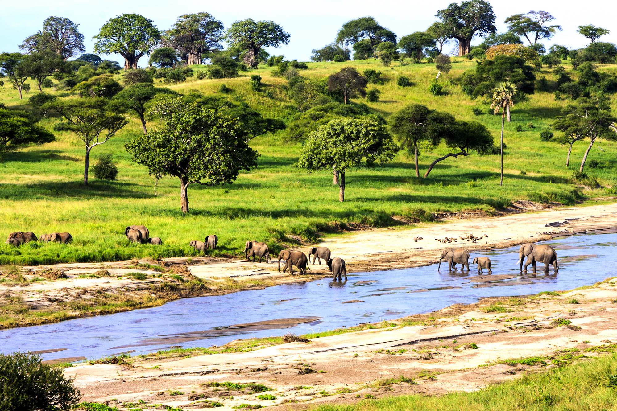 Tanzania-serengeti-shutterstock_379974949