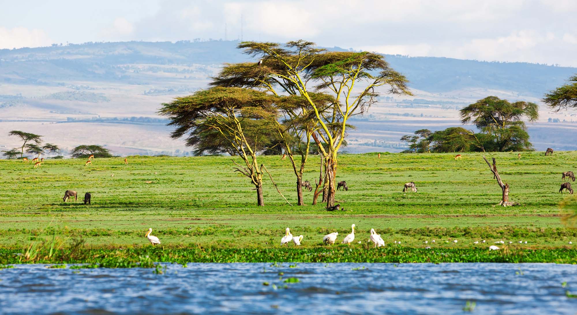 africa-kenya-lake-naivasha-shutterstock_137003909