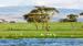 Det smukke område ved Lake Naivasha - Safari ved Lake Naivasha