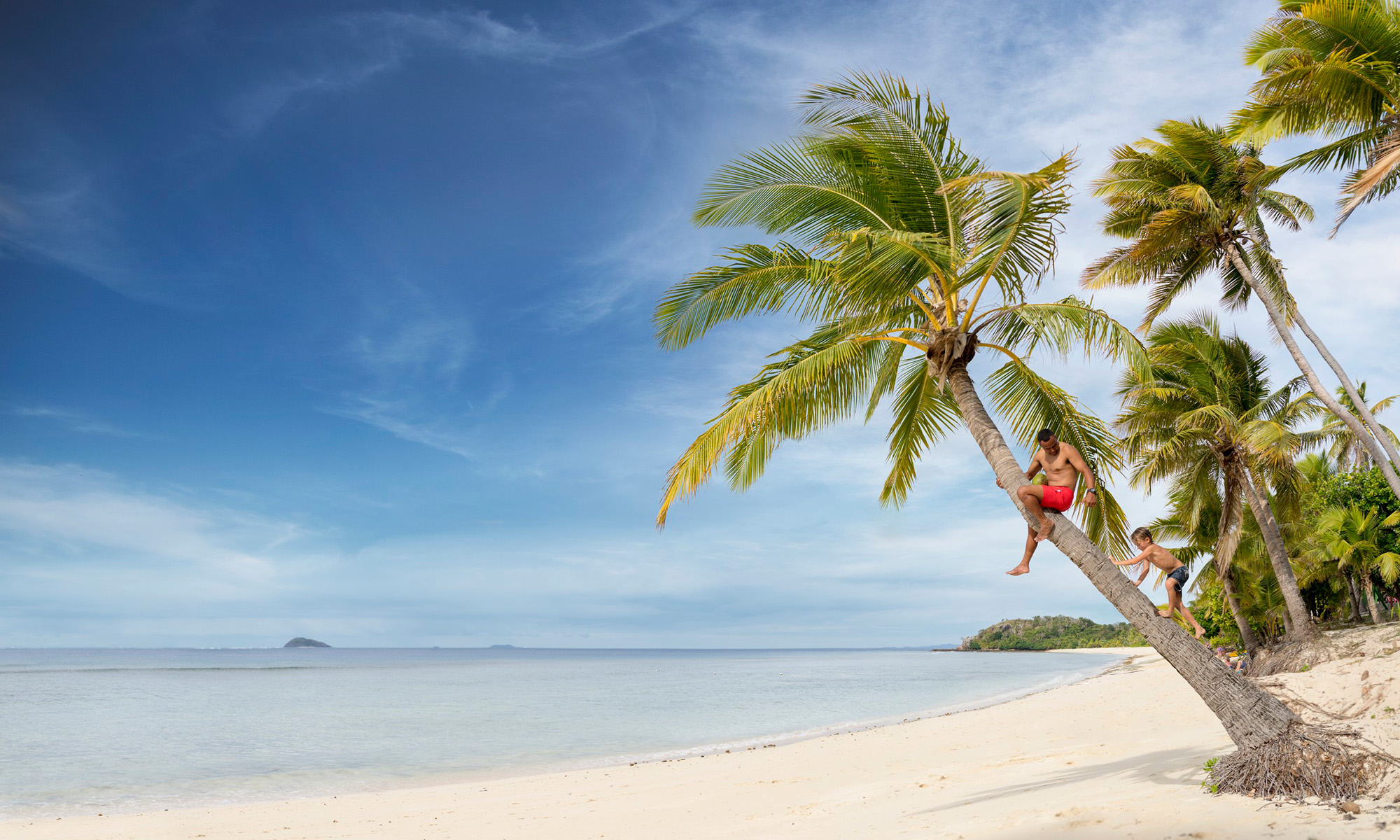 Lokale i Fiji plukker kokosnødder