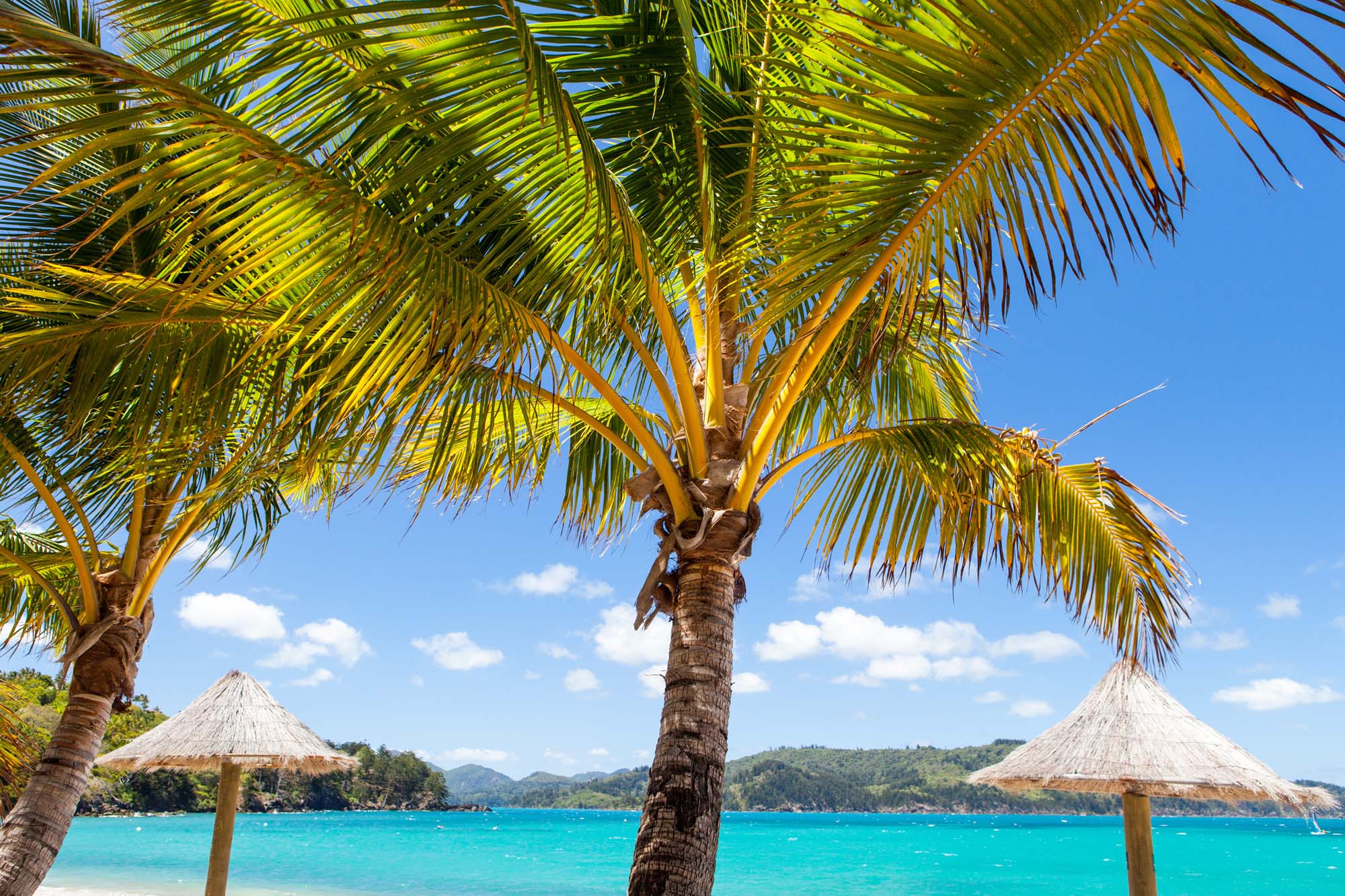 australia-whitsundays-hamilton-island-catseye-beach-shutterstock_561879460