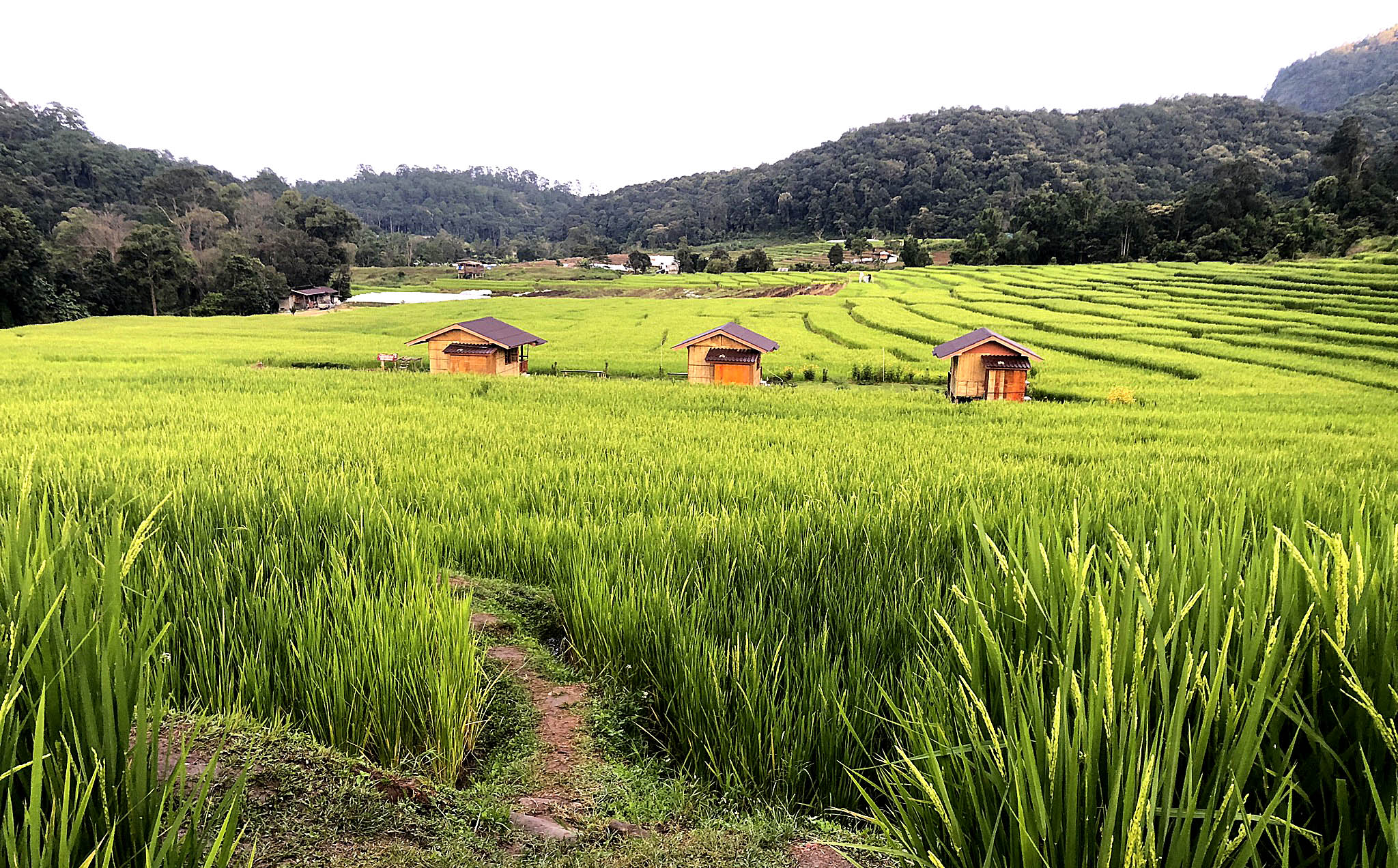 Autentisk indkvartering under Mae Hong Son Loop'et
