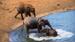 Elefanter i Tsavo National Park